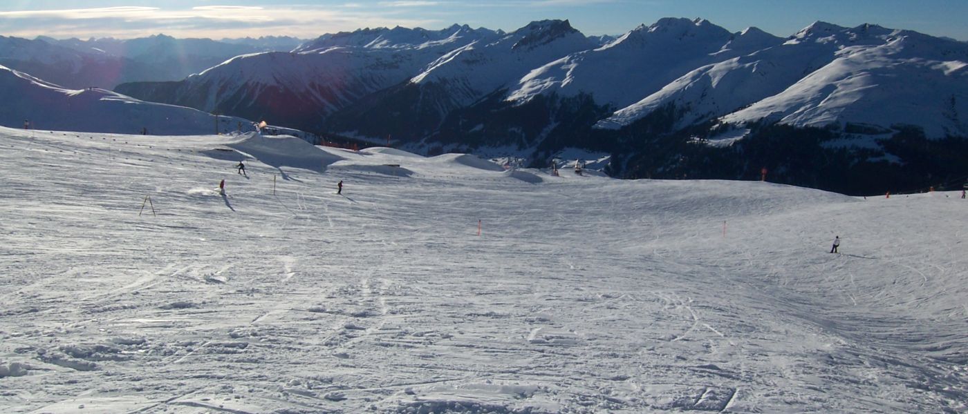 Davos 2008
